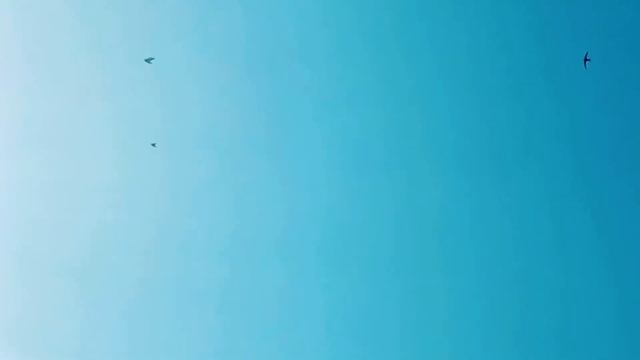 ты говоришь с самим собой.... смотреть онлайн