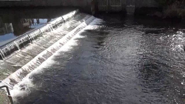 Как отдыхают Американцы // Salmon DAY // штат Вашингтон смотреть онлайн