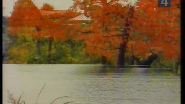 Екатерина Шаврина - Где ты появился на свет смотреть онлайн