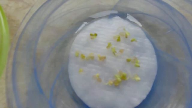 Часть 5. Прошло 48 часов смотреть онлайн