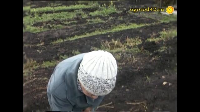 Трехлитровая банка - ловушка для мышей смотреть онлайн