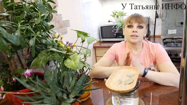 ✔️ ЧАХНЕТ КОМНАТНОЕ РАСТЕНИЕ? / Подкормка из Лаврового Листа для чахнущего комнатного растения смотреть онлайн