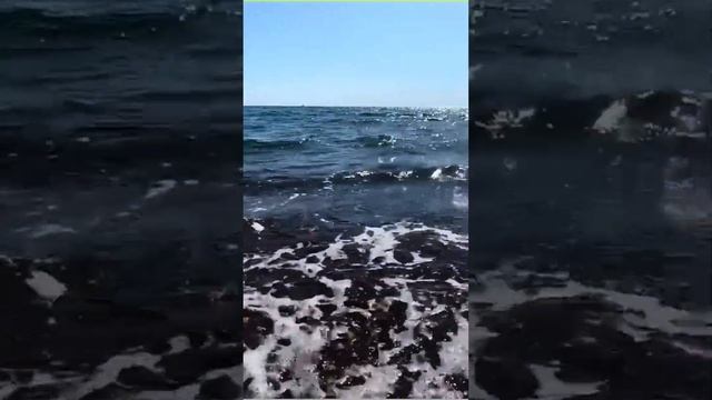 Поразительный результат от медитации очищения! смотреть онлайн