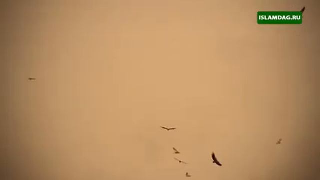 Имам Шамиль (к.с.)... смотреть онлайн