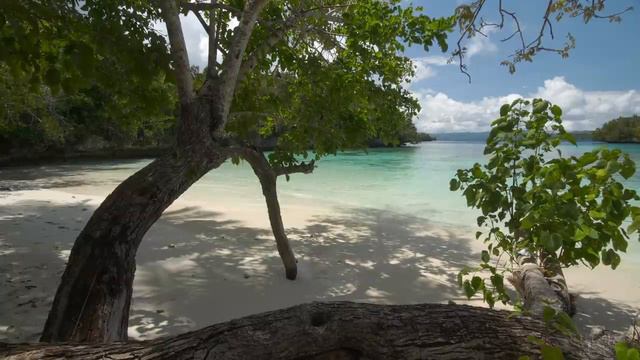 4K A Tropical Day - Мирные моменты на диком тропическом острове - Расслабляющие звуки океанских вол