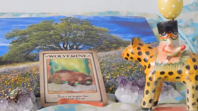 Daily Animal Spirit Guide Oracle Card Reading смотреть онлайн