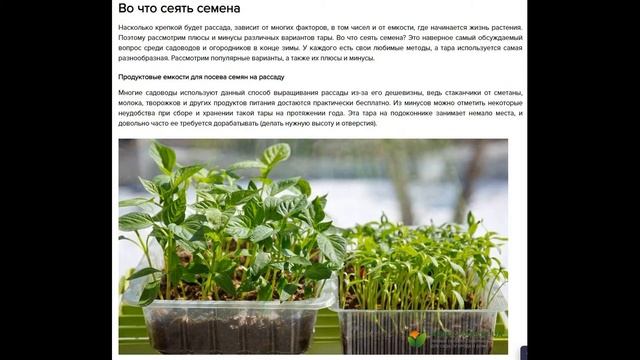 Выращивание рассады Во что сеять семена и в какую емкость ? смотреть онлайн