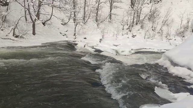 Сахалин. Быковские пороги на речке Красноярке.3 декабря 2023. Пешком туда-обратно 8 км.