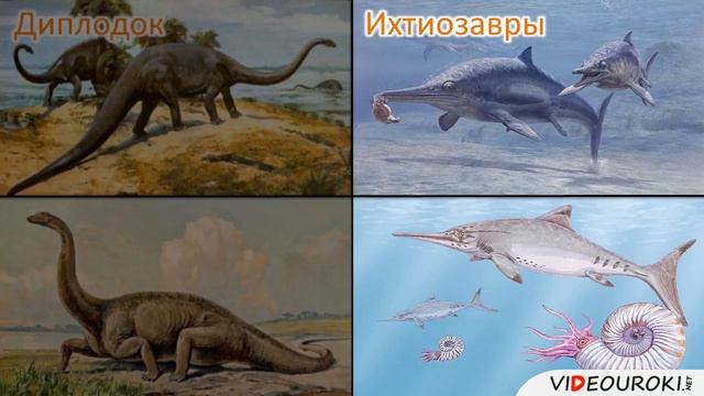 Происхождение пресмыкающихся 7 класс смотреть онлайн