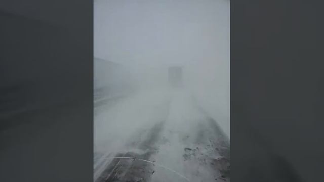 Трасса Алматы Шымкент смотреть онлайн