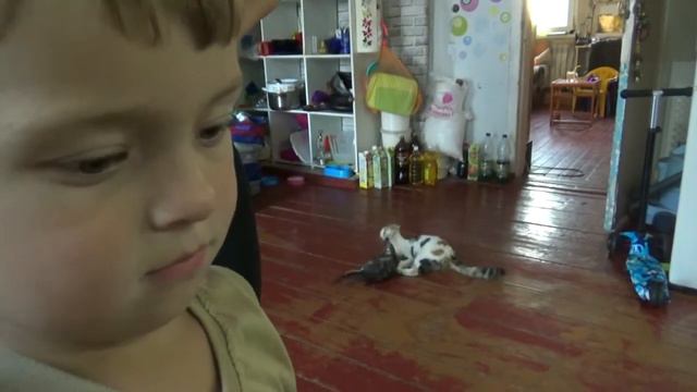 ВЛОГ Ушла из дома и пропала смотреть онлайн