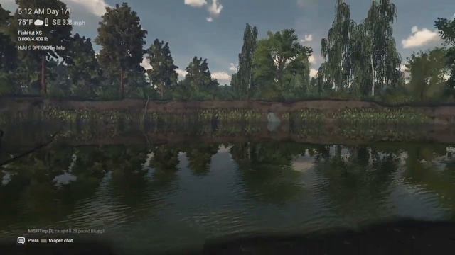 CHATTING ABOUT BLUEGILL - Squealers Play: Fishing Planet смотреть онлайн