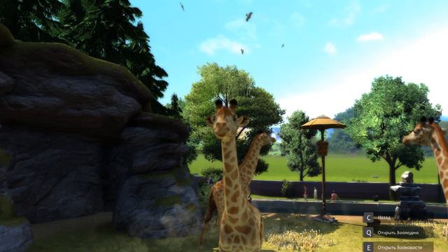 Зоопарк. Жирафы в зоопарке. смотреть онлайн