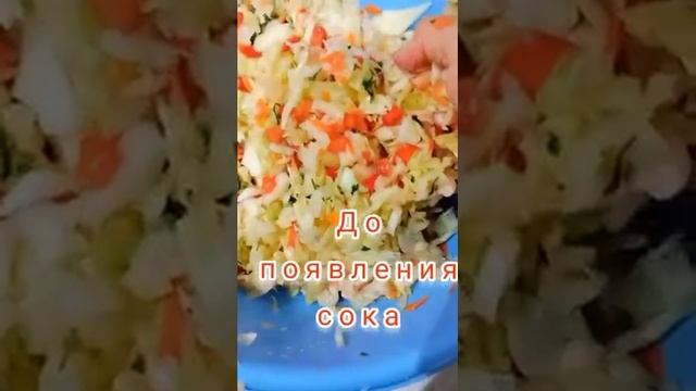Домашний рецепт соления капусты смотреть онлайн