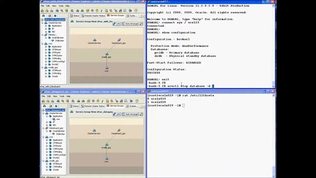 Storage Foundation for Oracle RAC - Demo of Disaster Recovery Configuration with Oracle Dataguard смотреть онлайн