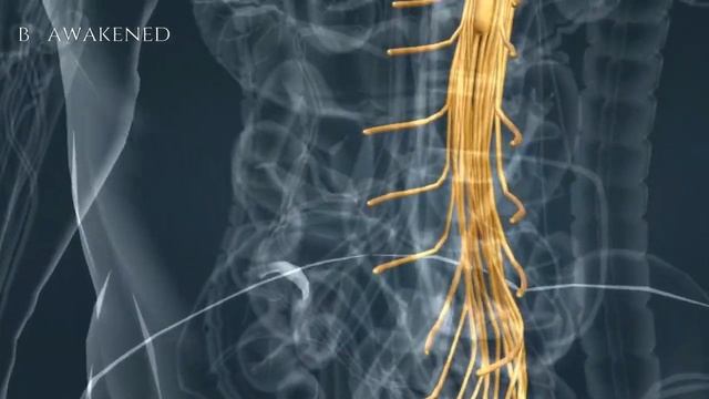 Power of spine | Sadhguru смотреть онлайн