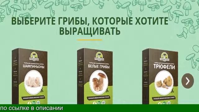 Набор Для Выращивания Грибов В Домашних Условиях смотреть онлайн