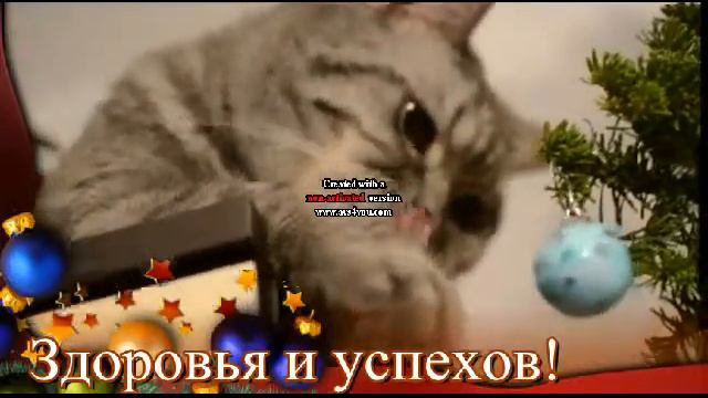 Поздравления моего котика с Новым годом. смотреть онлайн
