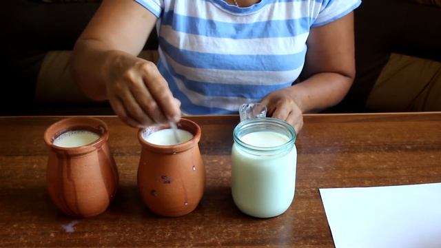 Зоопарк и Дикие Животные