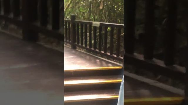 Стеклянный мост в Китае, Хайнань - Наша Прогулка) смотреть онлайн