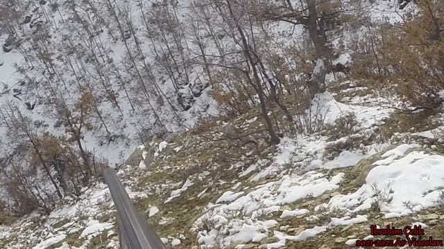 Karda Tavşan avı hare hunting охота на кроликов HD смотреть онлайн
