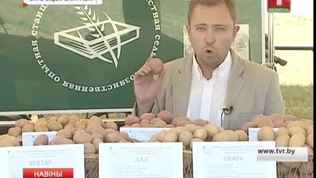 К массовой уборке овощей и картофеля готовятся сельхозорганизации центрального региона смотреть онлайн
