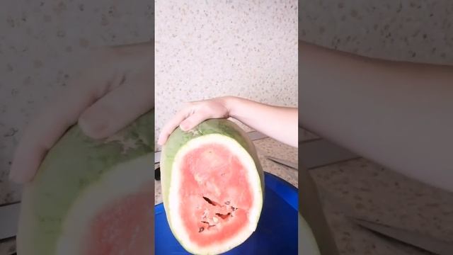 Не арбуз а сказка ??#арбуз #дача смотреть онлайн