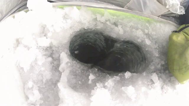 Иваньковское ВДХ 26 декабря 2014 года смотреть онлайн