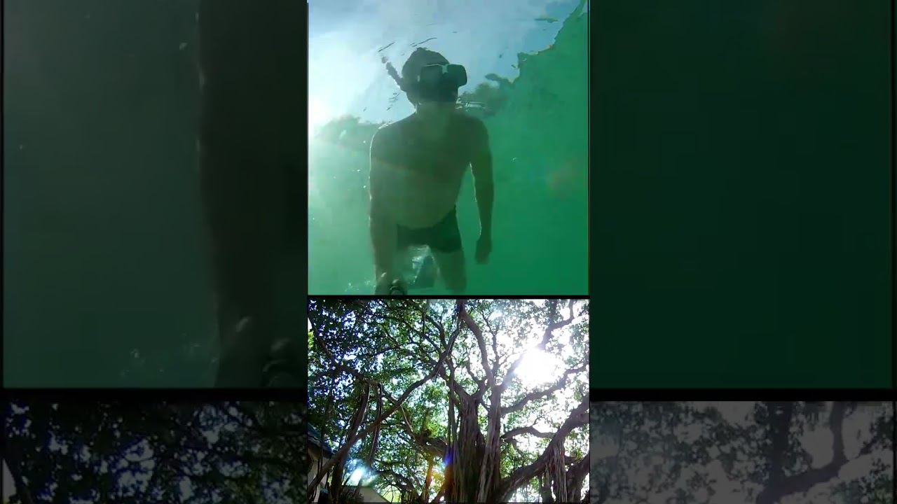 #Мальдивы | Maldives #adaaran смотреть онлайн