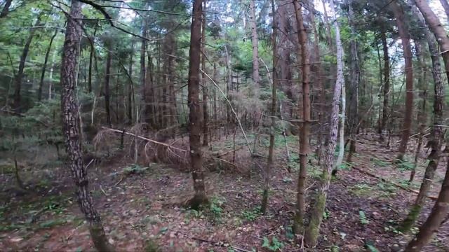 Зарисовка. Лето 2022. Июль. смотреть онлайн