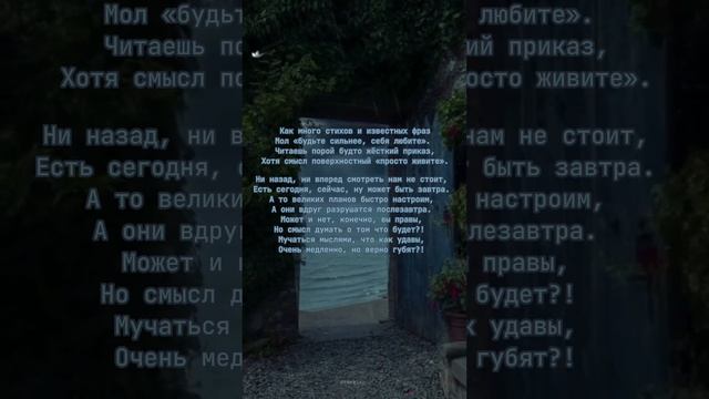 «Как много стихов и известных фраз…»