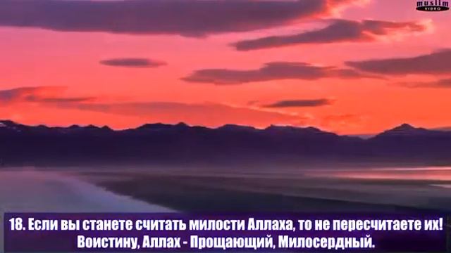 СУРА НАХЛЬ 16 АЯТ 18; ВАИН ТА1УДДУ НИ1МАТАЛЛАХ1И ЛА ТУХЬСУХ1А ИНАЛЛАХ1А ЛА Г1АФУРУР РАХЬИЙМ смотреть онлайн