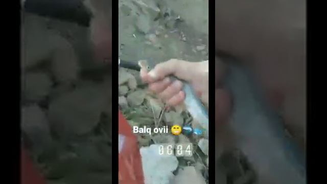 Ловля Маринки в Узбекистане га Тутовник. Рыбалка в Ташкенте смотреть онлайн