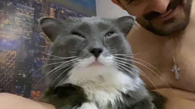 НОВАЯ ЖИЗНЬ ТЁПЫ! 😻 КОТОЖИЗНЬ! смотреть онлайн