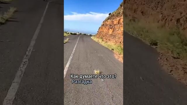 Ветровые мыши)))) смотреть онлайн
