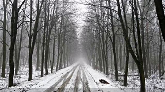 «Я бреду по бездорожью» исполняет Ирина Фрёлих смотреть онлайн