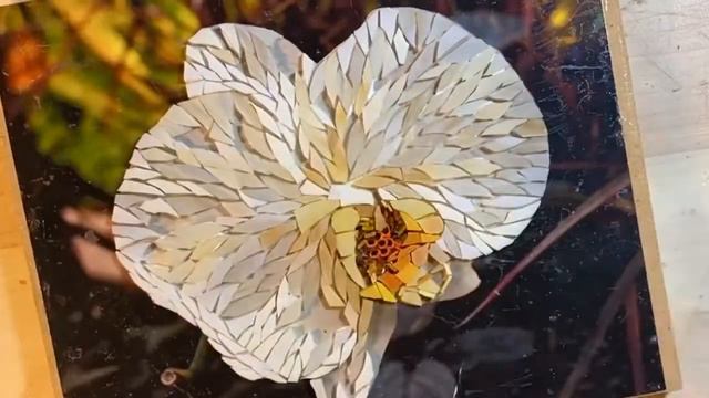 Ep. 38 SHELTER IN PLACE MOSAIC, another butterfly, an orchid, greaders, filati & a very Bad Cup! смотреть онлайн