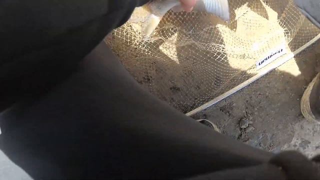 Майский фидер на Десне 2021. Лещики, белоглазки, густера и синец). смотреть онлайн