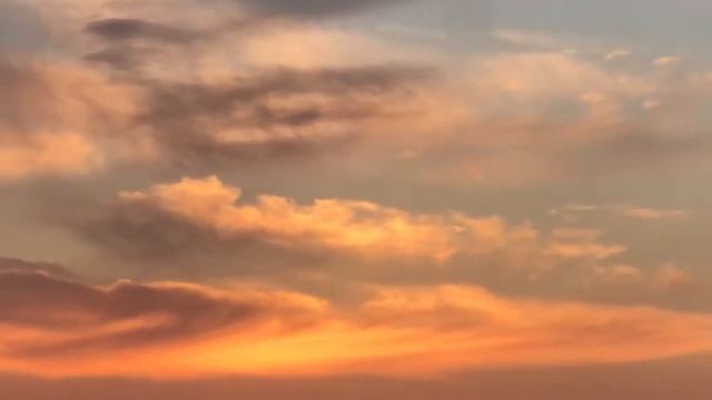 «Достигай победы цветочными стрелами любви» смотреть онлайн