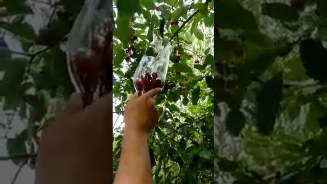 Строительная Таймлайн