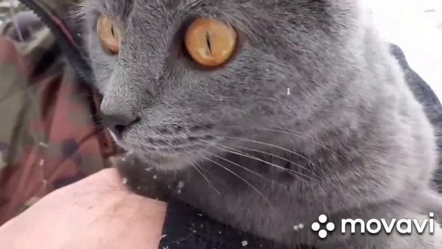 Зимний день в деревне.Рождество?. смотреть онлайн