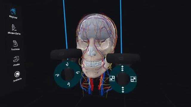 Tutorial 3D Organon VR смотреть онлайн