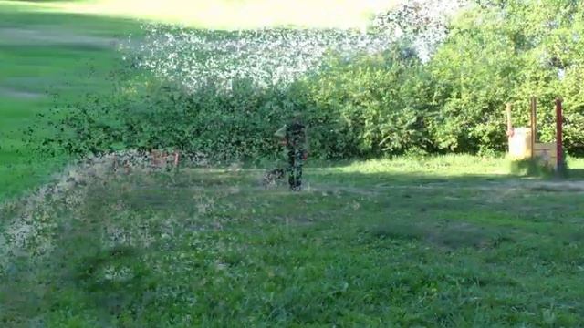 Рой - тренировка, трюки смотреть онлайн
