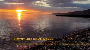 Летят над нами чайки