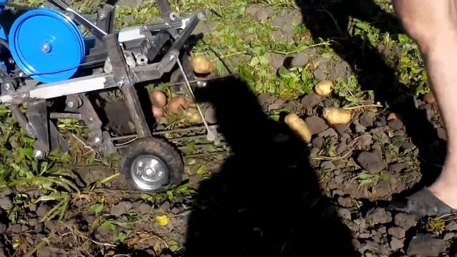 Тестирование самодельной картофелекопалки к мотоблоку нева смотреть онлайн