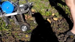 Тестирование самодельной картофелекопалки к мотоблоку нева