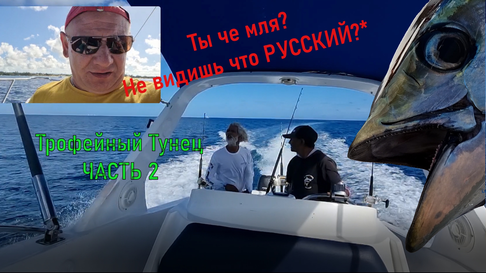 Трофейный Тунец. Часть2