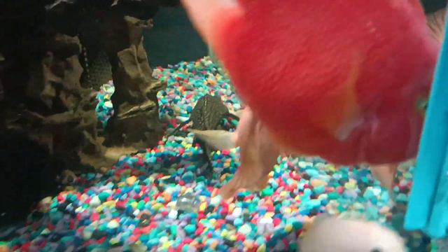 орбита в ольгинке смотреть онлайн