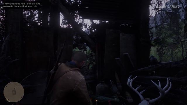 Red Dead Redemption 2 - Crazy Witch Hideout - Easter Egg #10 смотреть онлайн