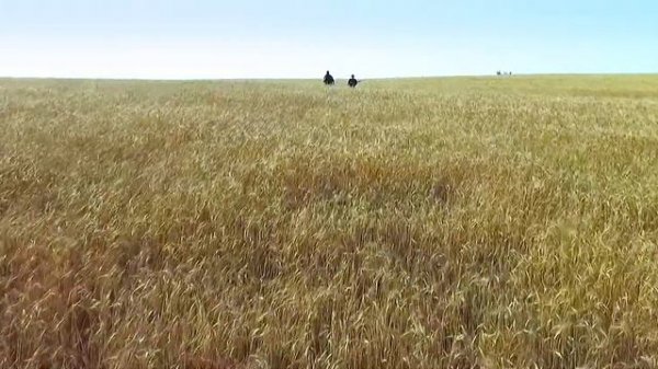 Прицелы Дедал (Dedal NV). Записки охотника.